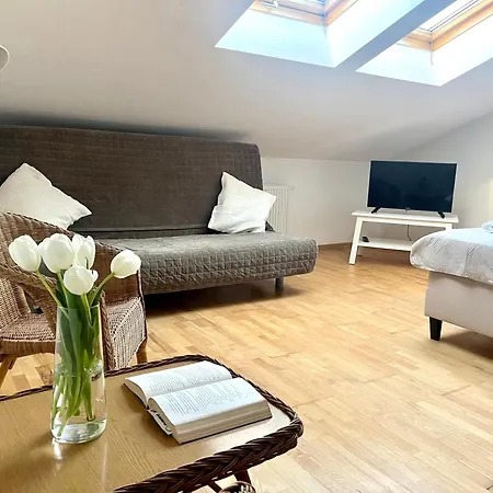 Pensionat Agapella Apartamemty- Agapella 250m From The