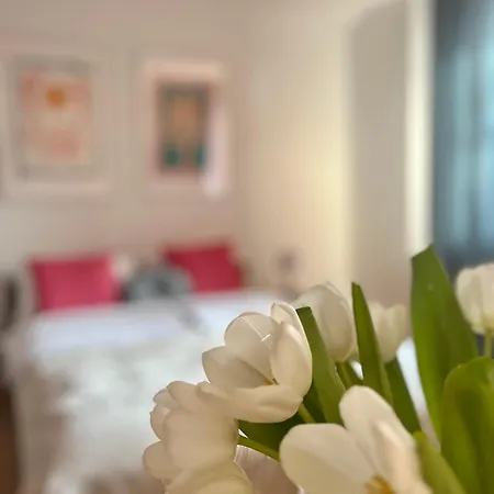 Guest house Agapella 250m From The - Agapella Apartamemty 3*