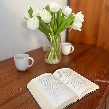 Penzion Agapella Apartamemty- Agapella 250m From The 3*