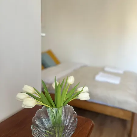 Agapella Apartamemty- Agapella 250m From The
