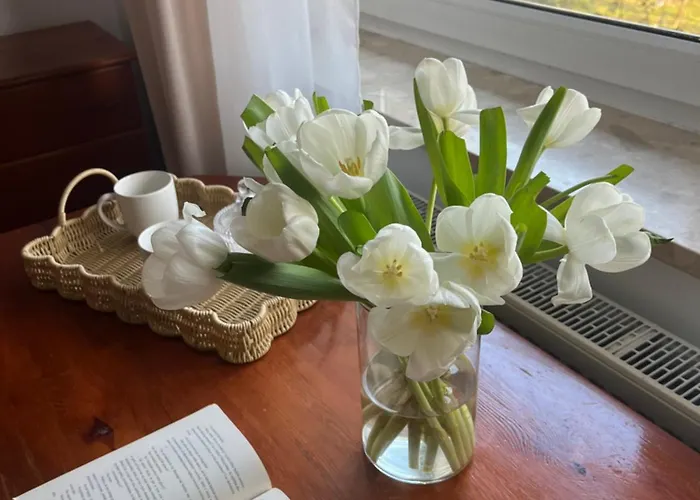 Guest house Agapella Apartamemty- Agapella 250m From The 3*