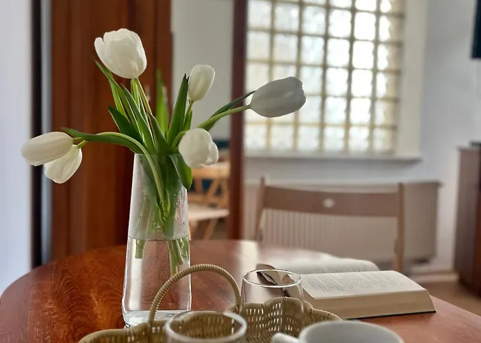 Pensionat Agapella Apartamemty- Agapella 250m From The 3*